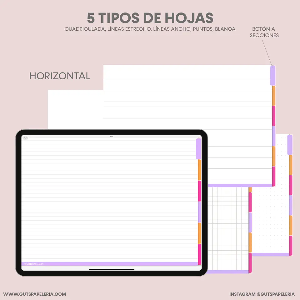 Nuevo Cuaderno 6 secciones  4