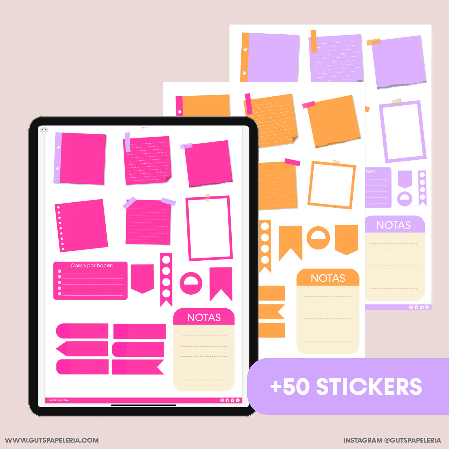 Nuevo Cuaderno 6 secciones  6