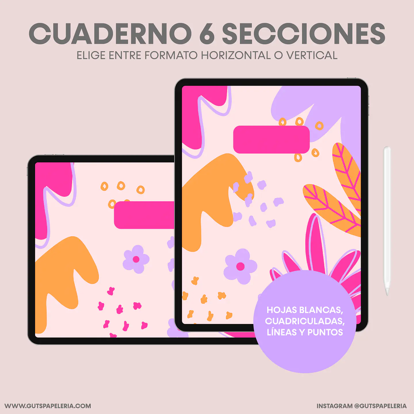 Nuevo Cuaderno 6 secciones  1