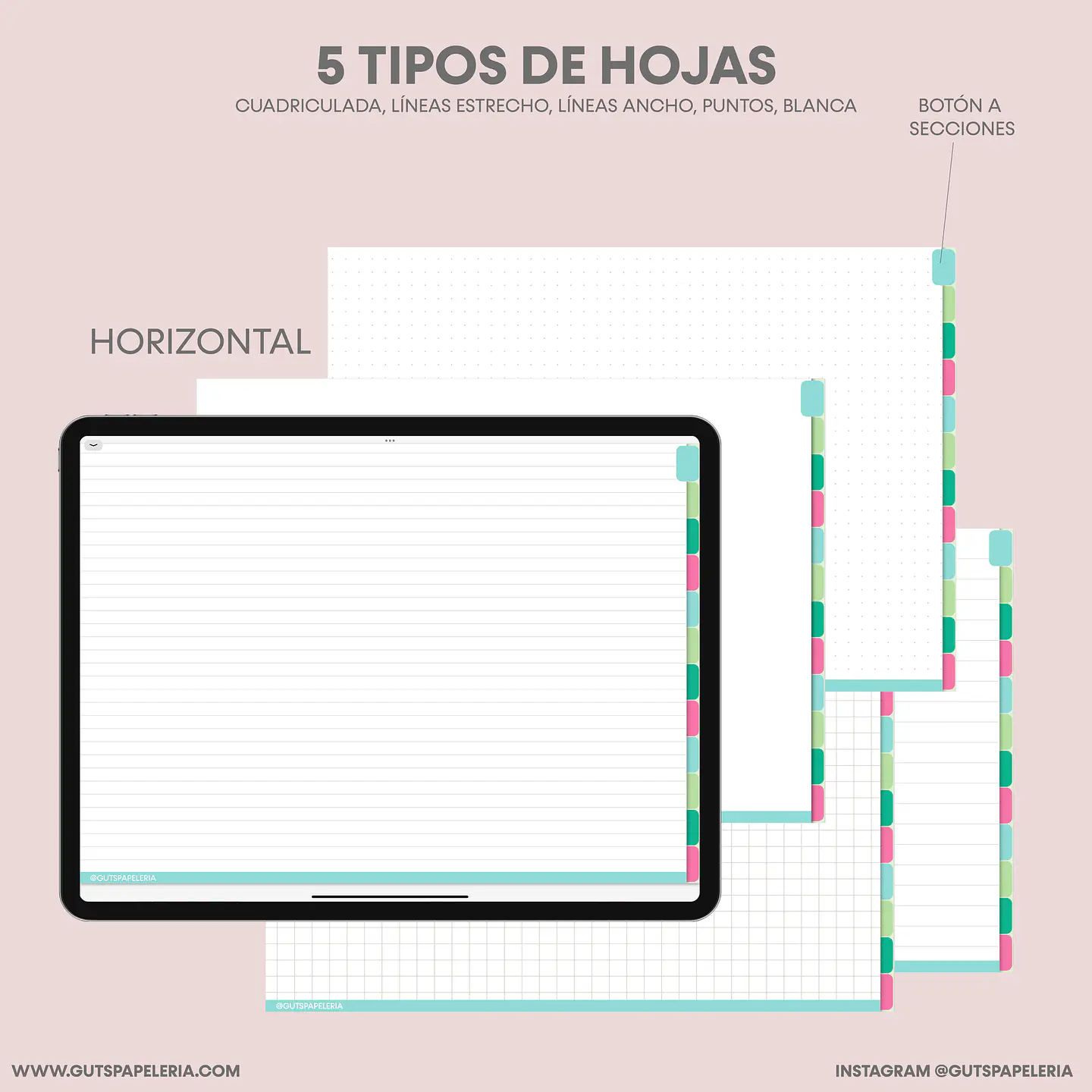 Nuevo Cuaderno 12 secciones 4