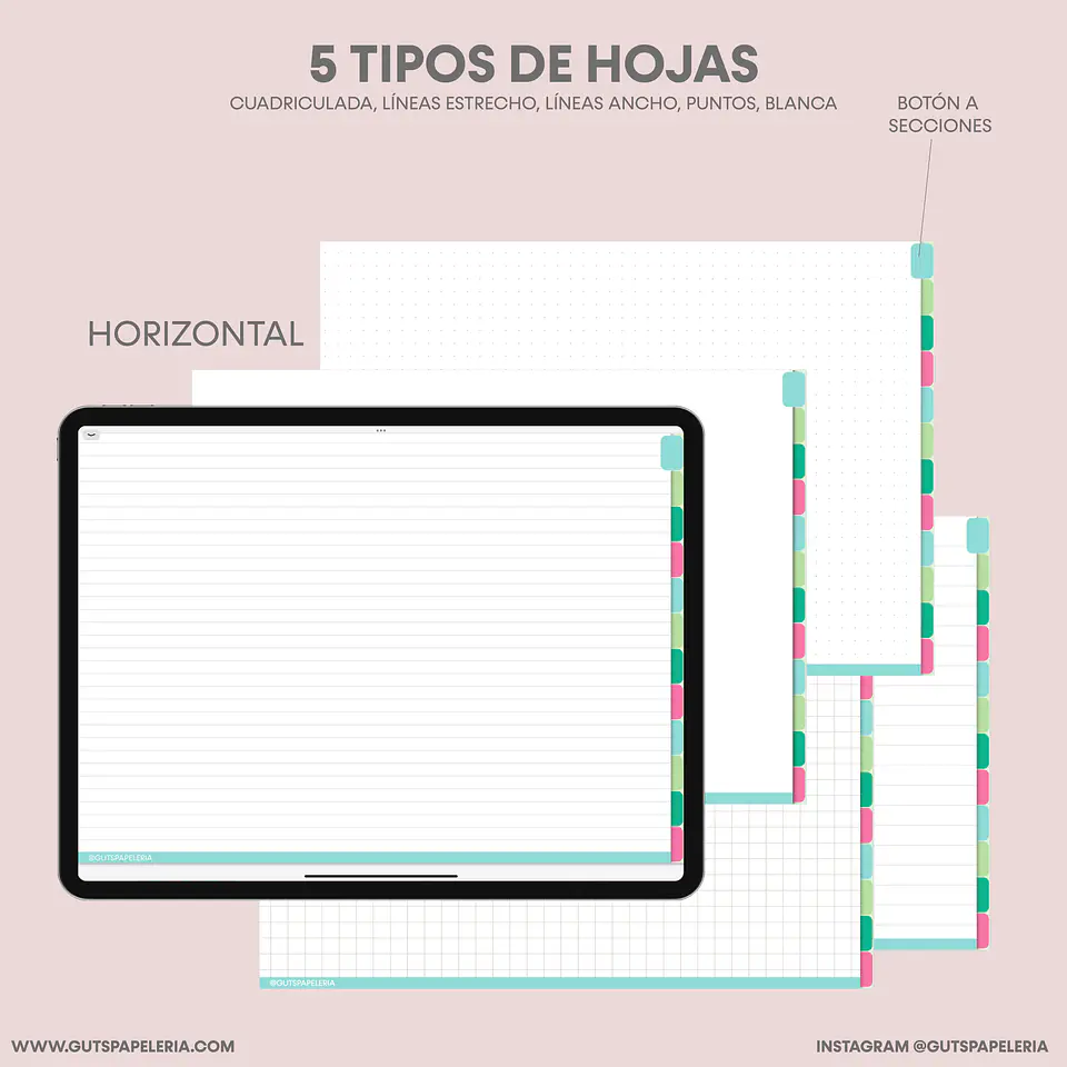 Nuevo Cuaderno 12 secciones 4
