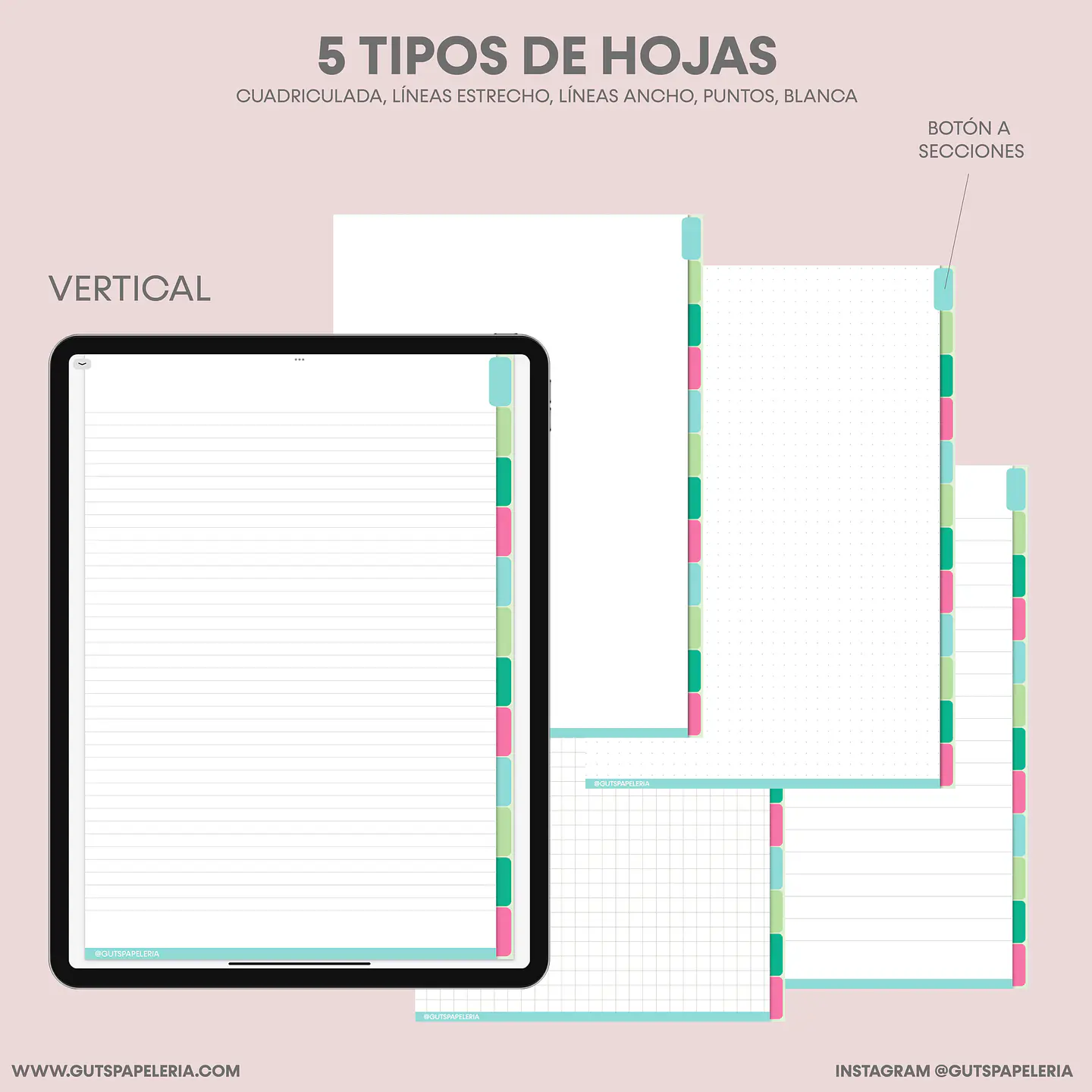 Nuevo Cuaderno 12 secciones 2