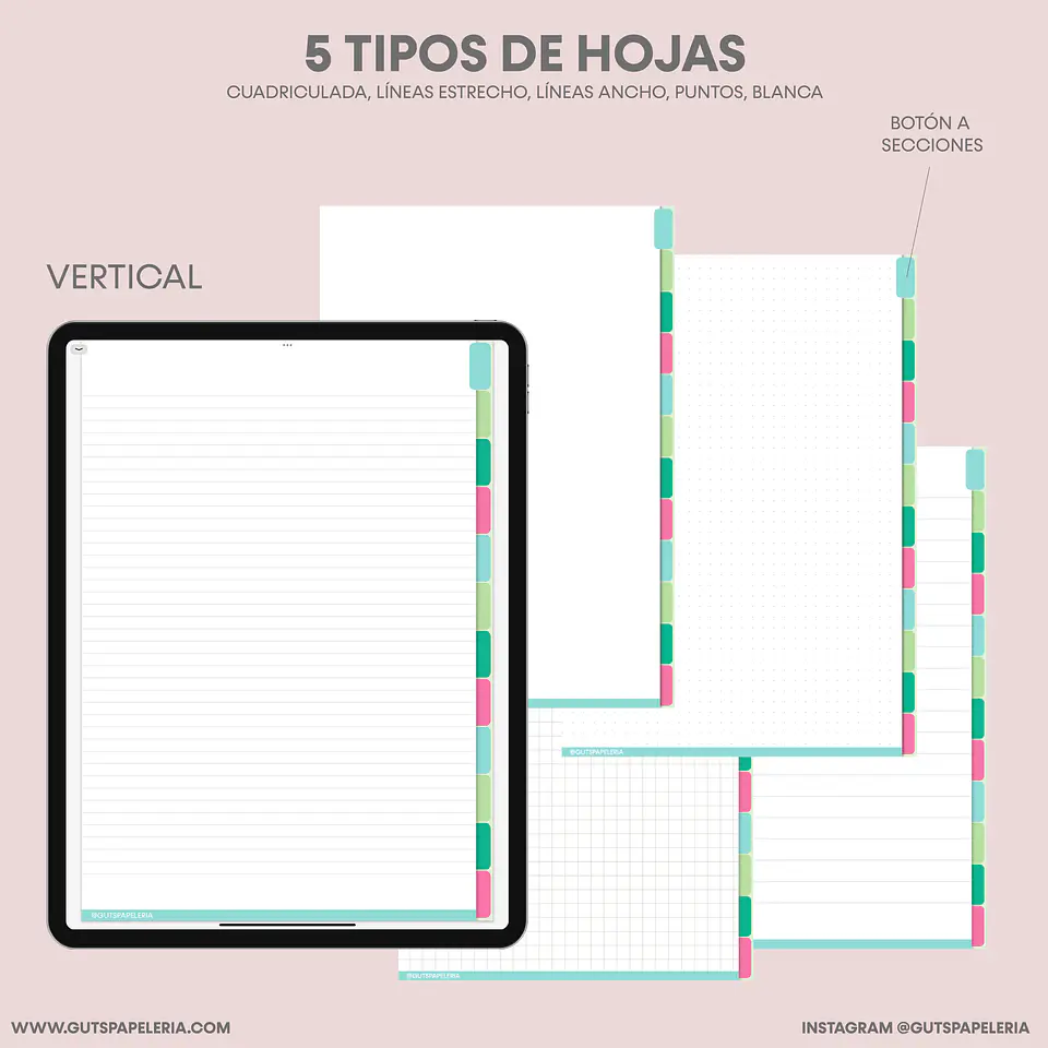 Nuevo Cuaderno 12 secciones 2