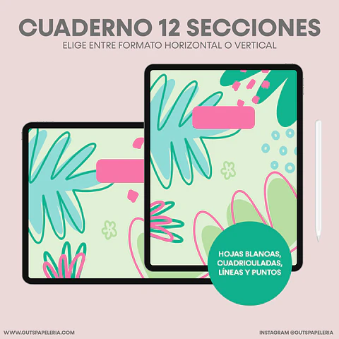 Nuevo Cuaderno 12 secciones
