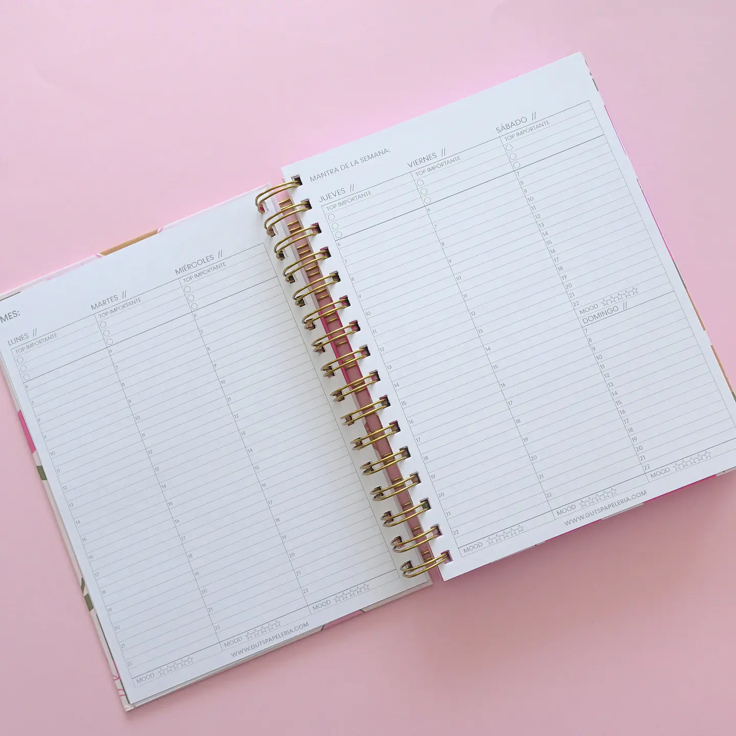 Planner Sin Fechas - Tulipán Verde 9
