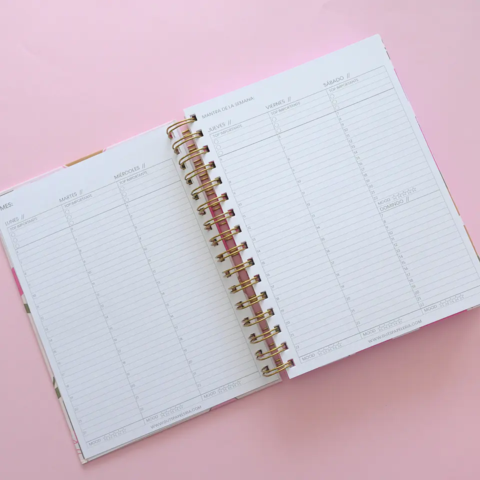 Planner Sin Fechas - Tulipán Verde 9