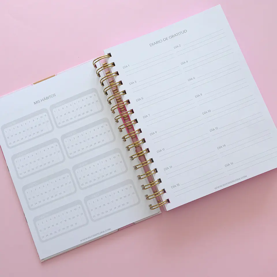 Planner Sin Fechas - Tulipán Verde 11