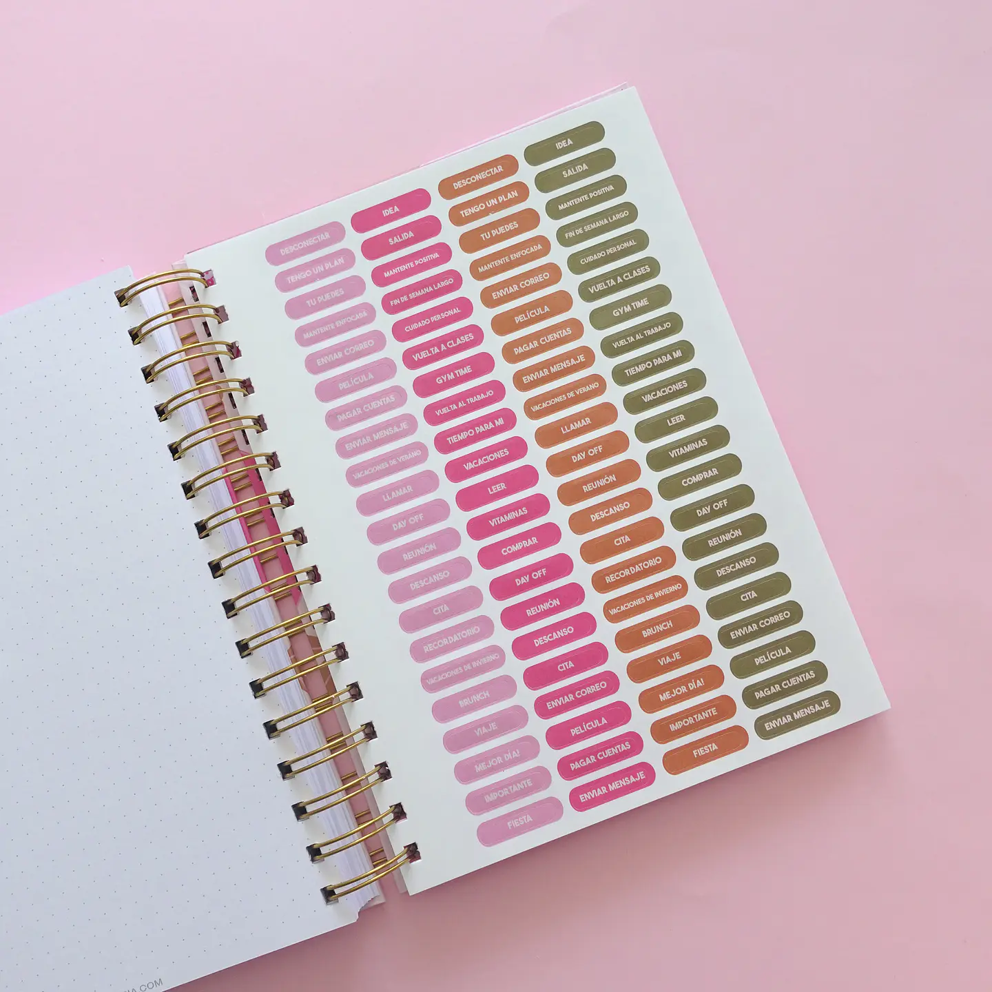 Planner Sin Fechas - Tulipán Verde 12