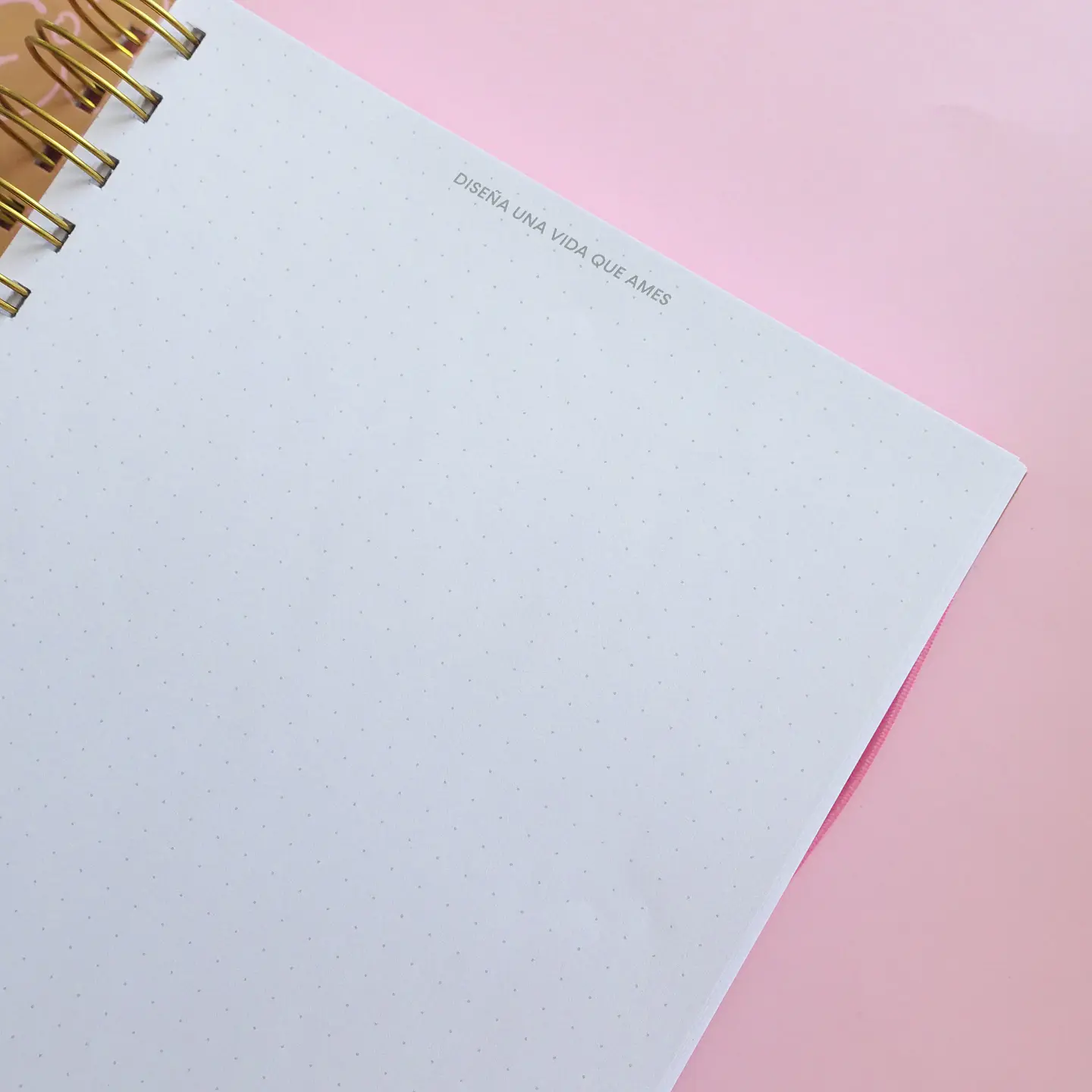 Cuaderno Puntos - Camelia 5