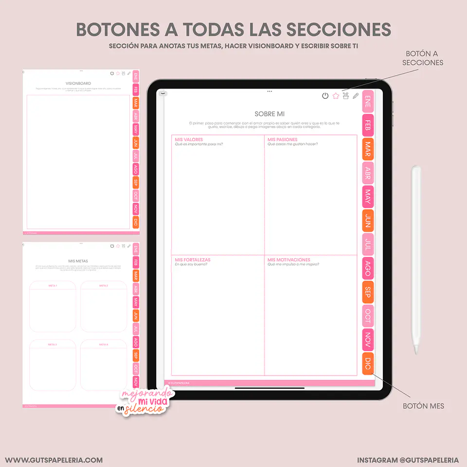 Diario Gratitud 3