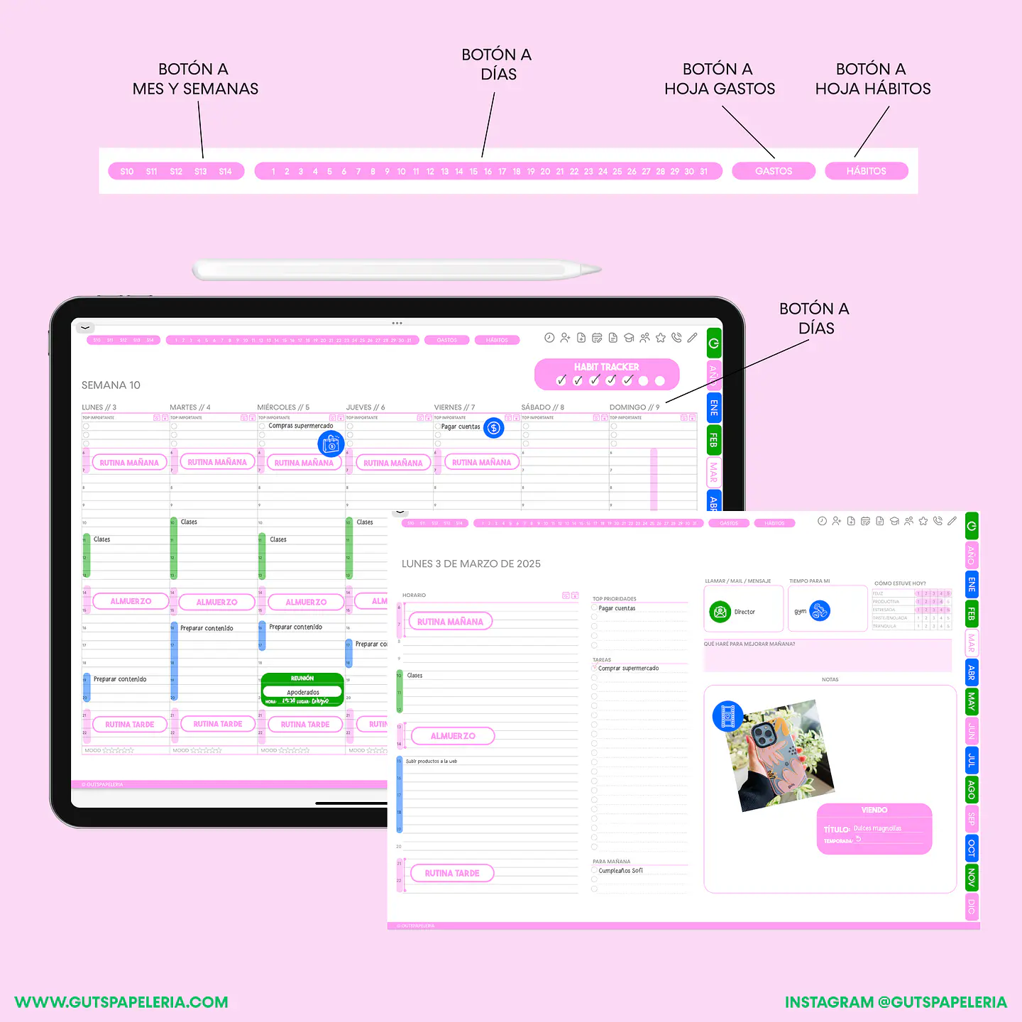 Planner Docente Bluebell 4