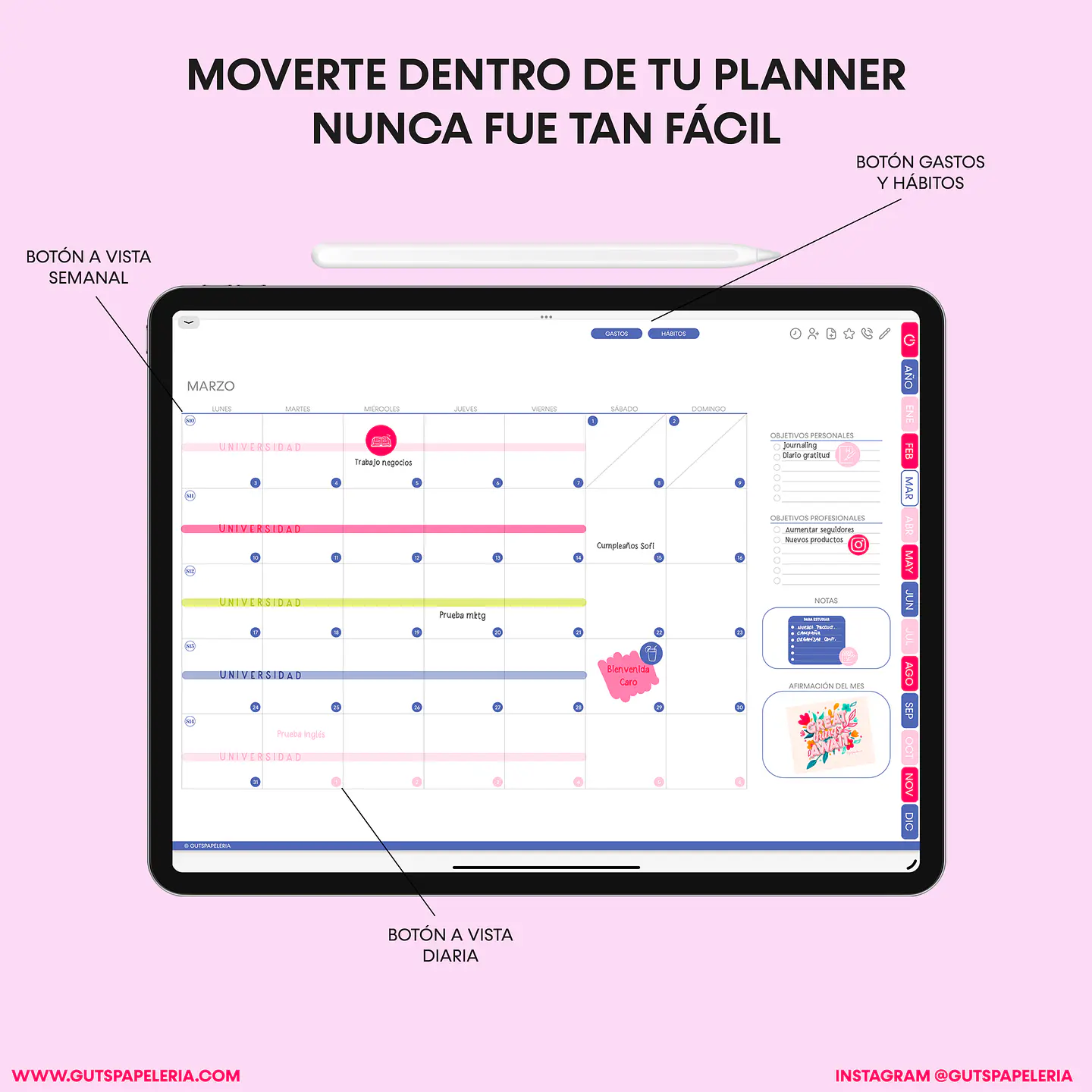 Planner Digital Catmint Universitario 2