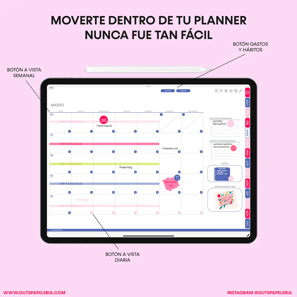 Planner Digital Catmint Universitario 2