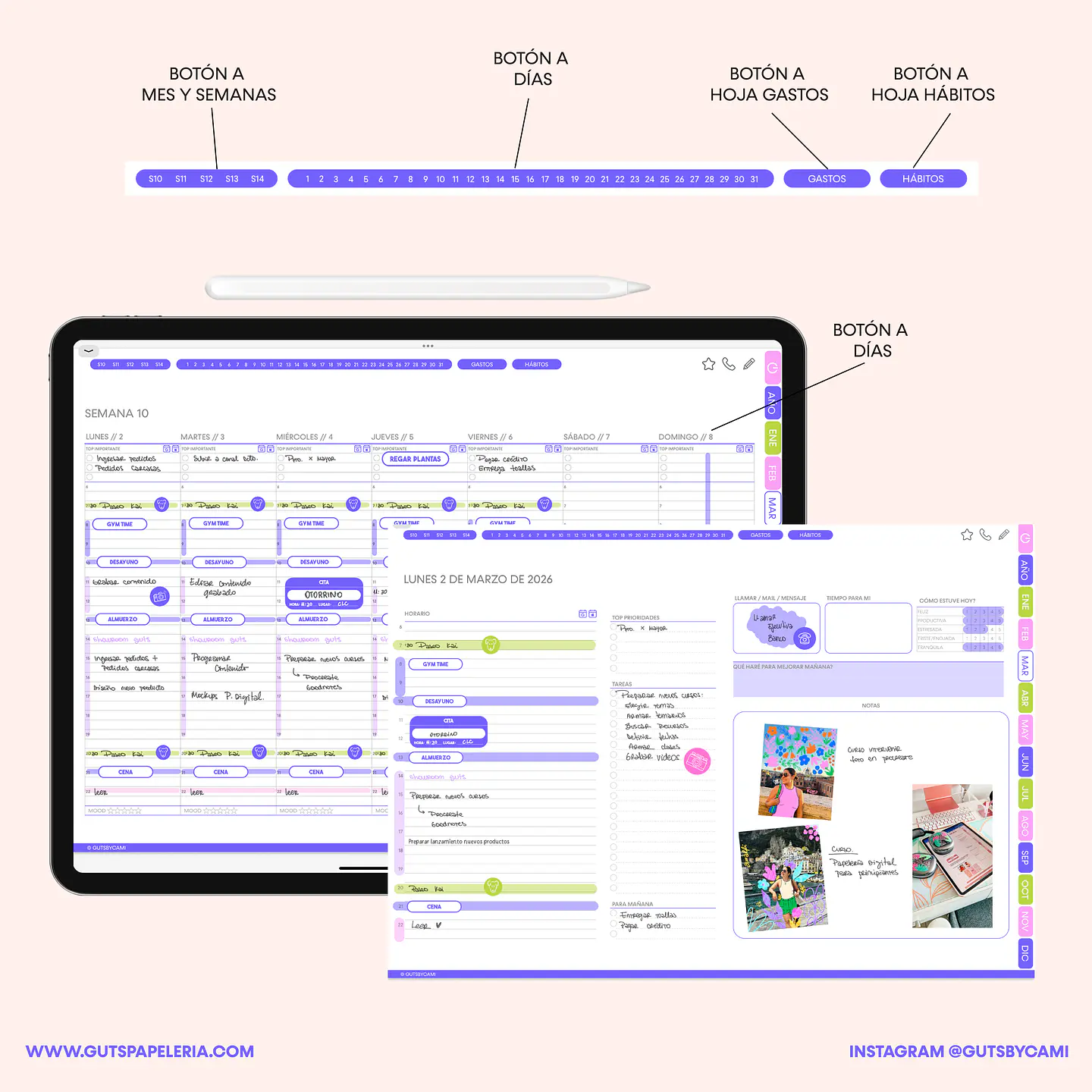 Planner Digital Sunflower Sin fechas Horizontal 4