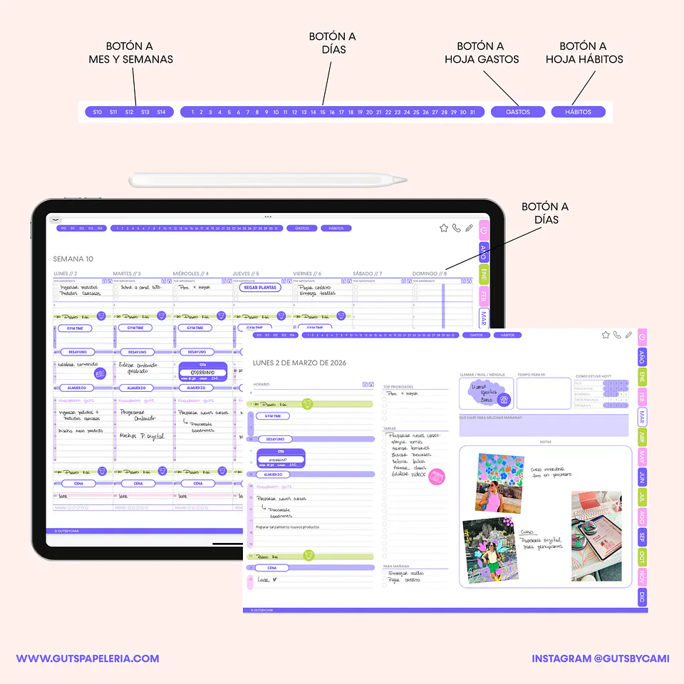 Planner Digital Sunflower Sin fechas Horizontal 4