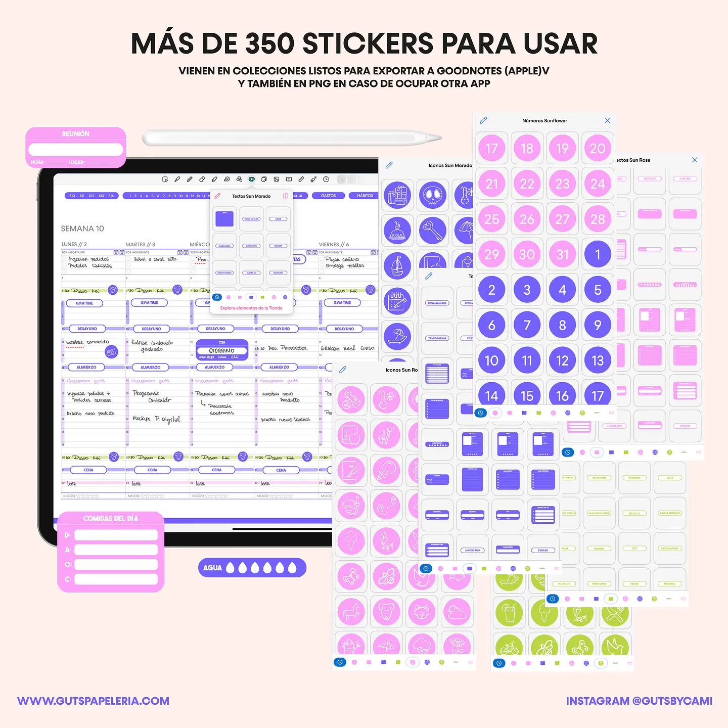 Planner Digital Sunflower Sin fechas Horizontal 9