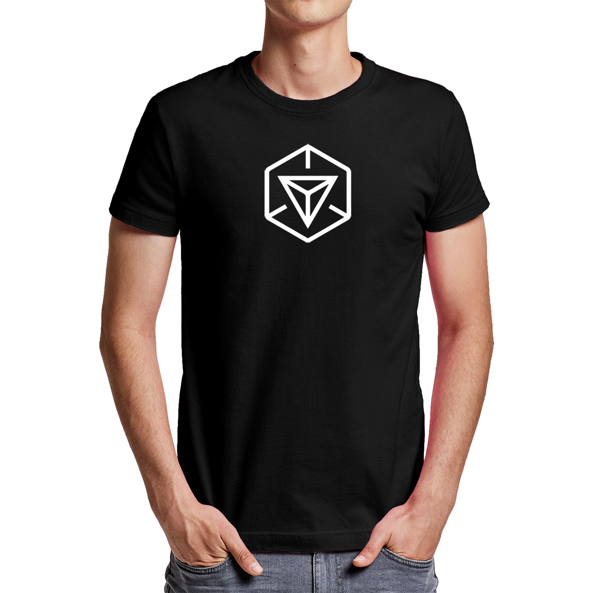 Ingress Pass