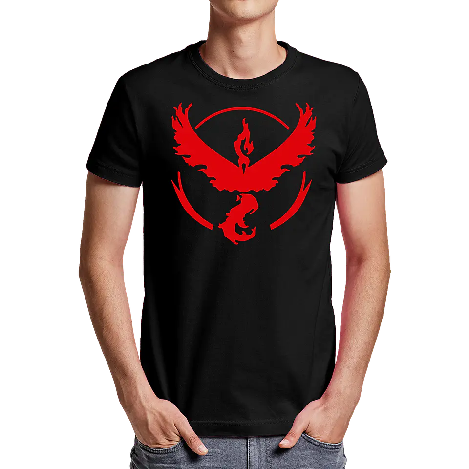 Team Valor 1