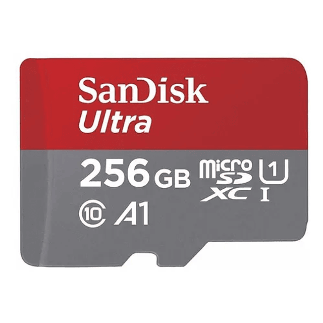 Memoria Sandisk Clase 10 100 Mbs 256Gb