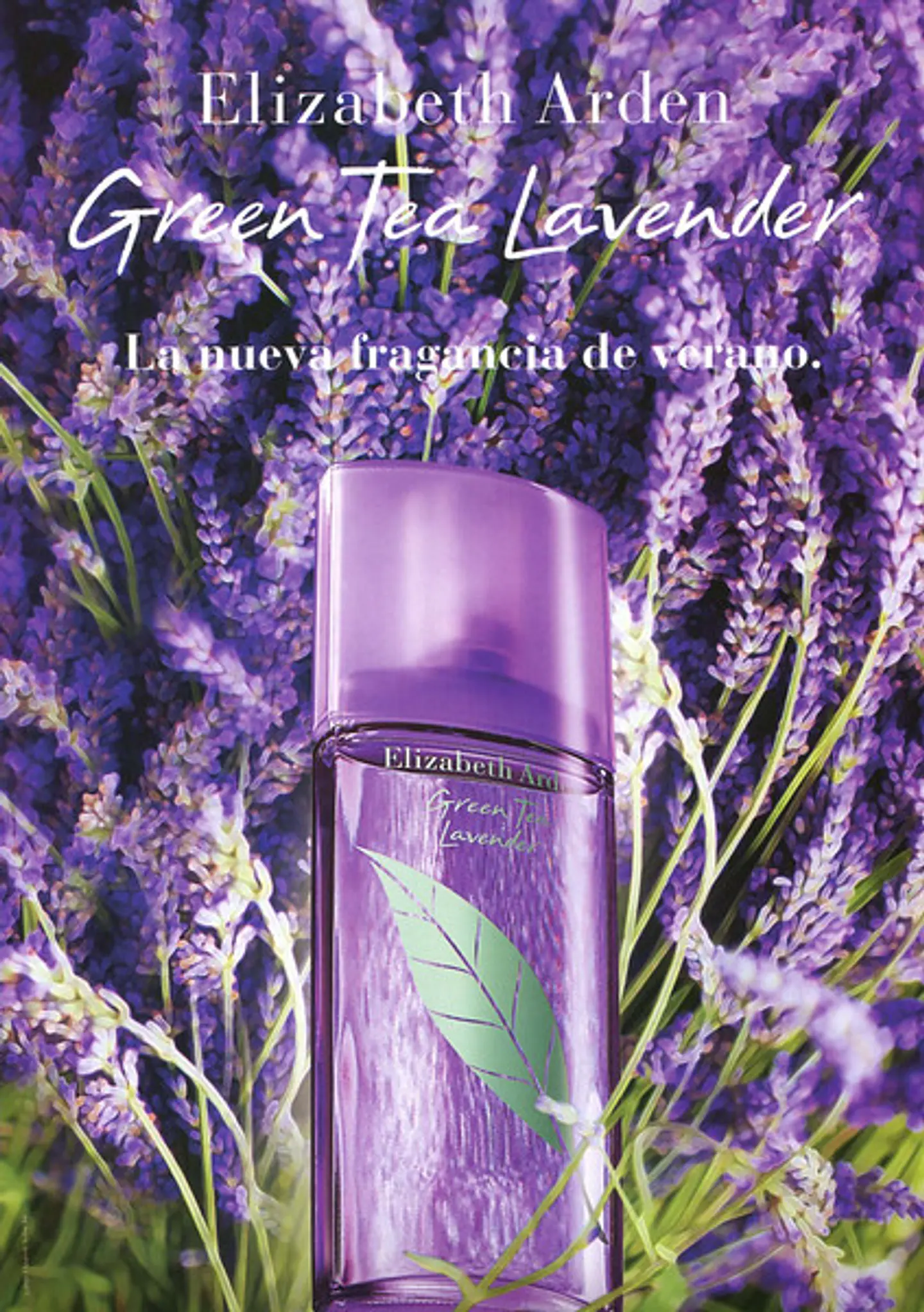GREEN TEA LAVENDER 100ML EDT 2