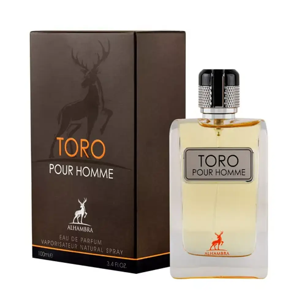 TORO POUR HOMME 100ML EDP 1