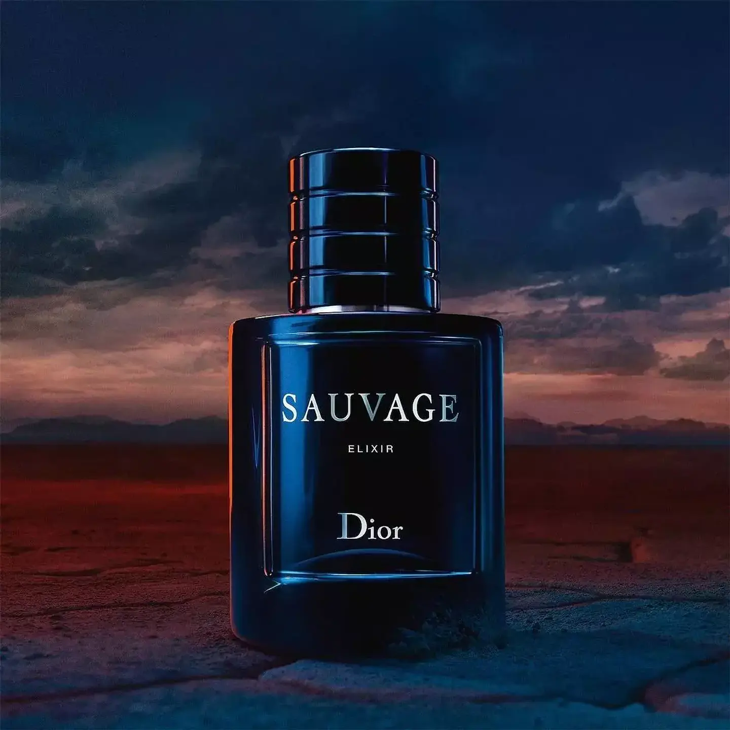 DIOR SAUVAGE 100ML ELIXIR 2