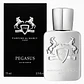 PEGASUS 75ML EDP - Miniatura 1