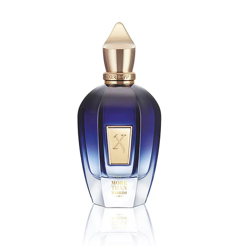 XERJOFF MORE THAN WORDS 100ML EDP