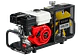 Coltri Icon - Miniatura 3
