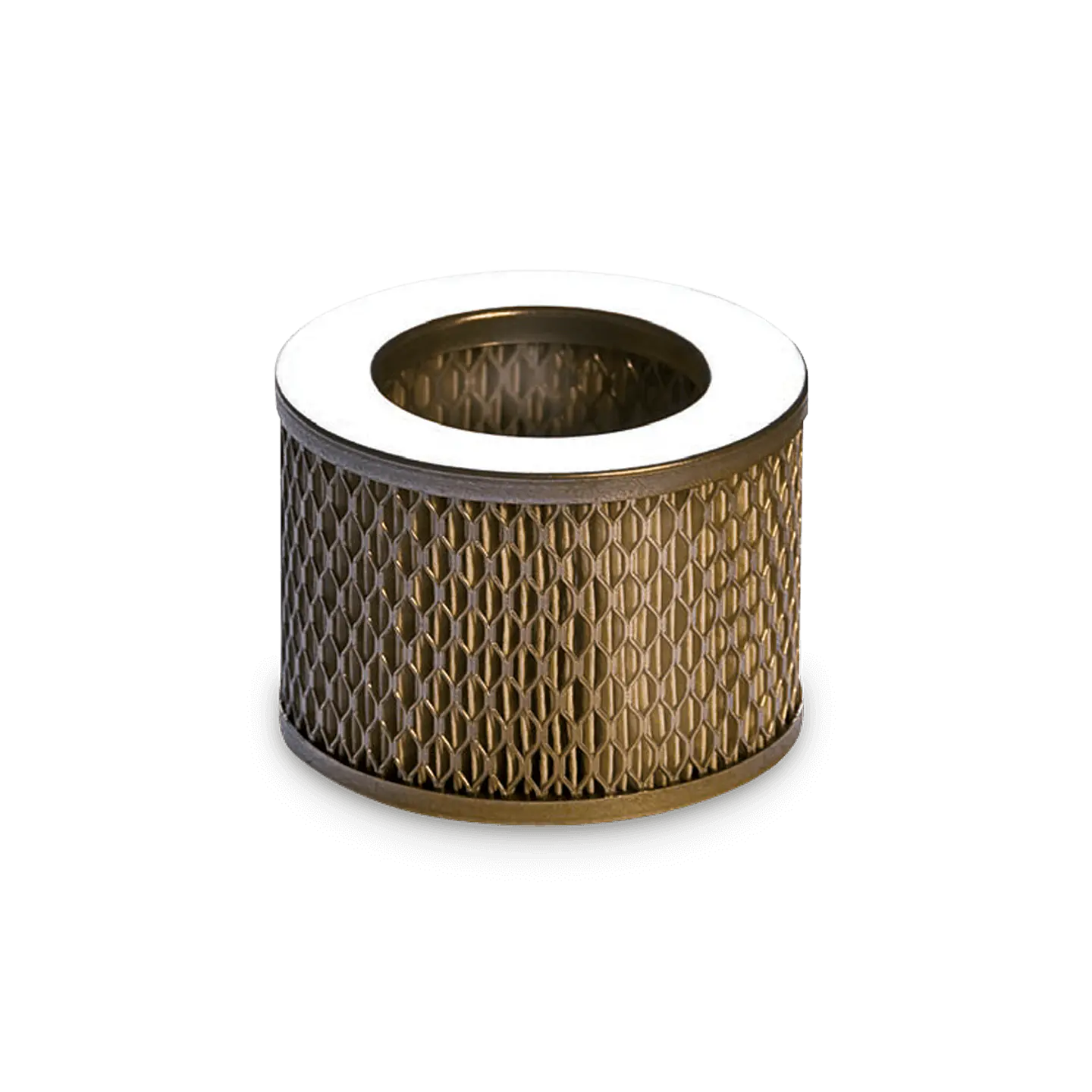 Intake Air Filter 4