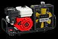 Coltri Icon - Miniatura 8