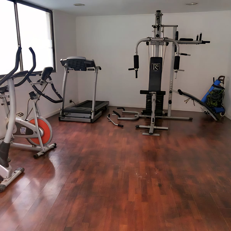 AV ESPAÑA 397, 2D y 2B, SANTIAGO 10