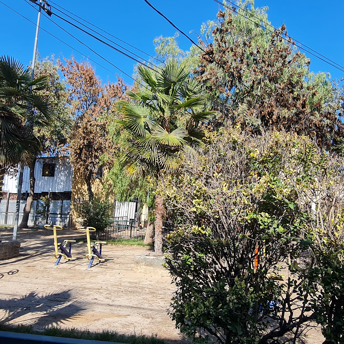 PASAJE QUEILEN 921, PTE ALTO 9