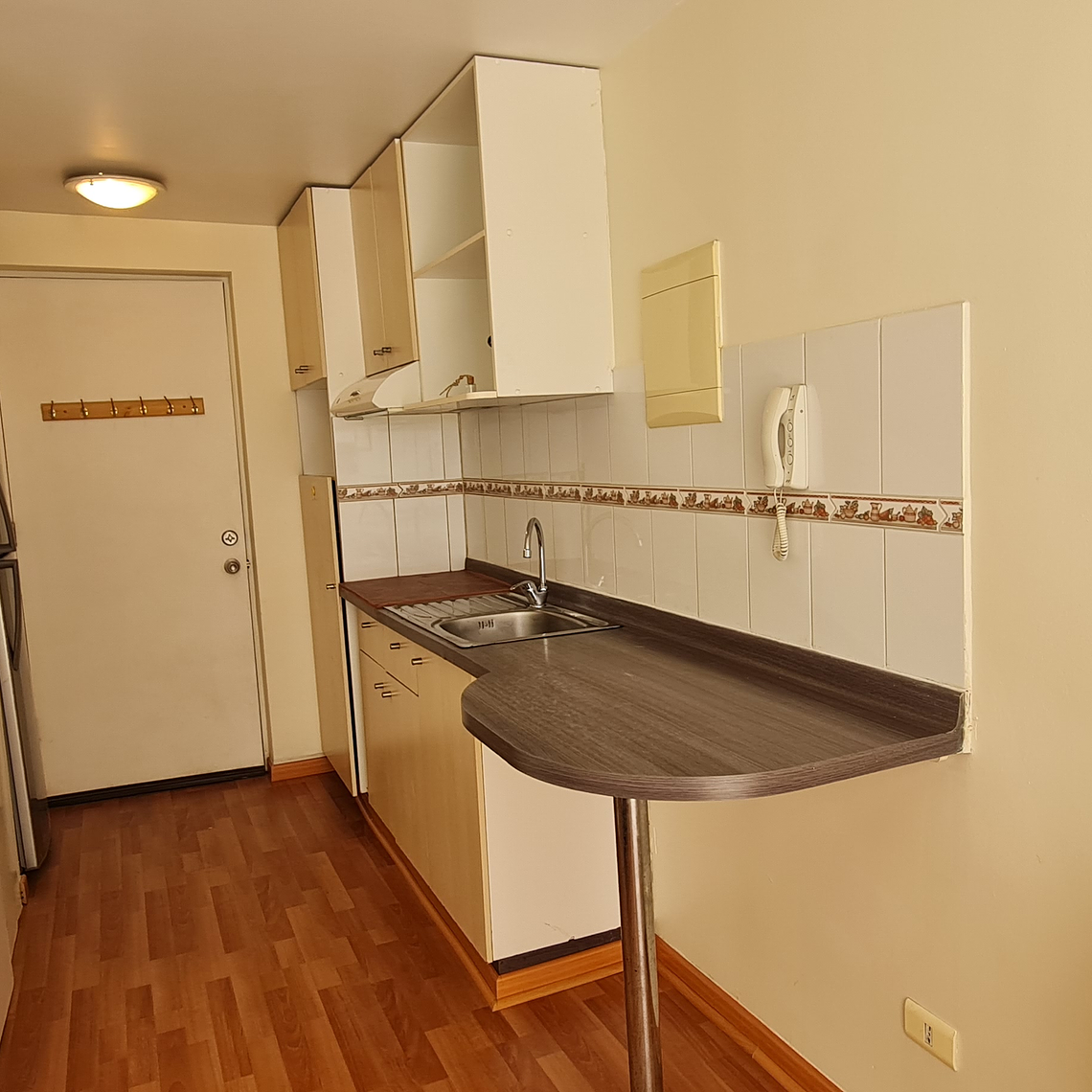 SANTO DOMINGO 2246 C/EST, SANTIAGO 6