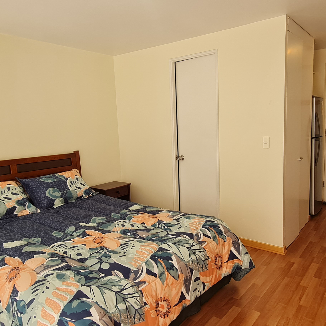 SANTO DOMINGO 2246 C/EST, SANTIAGO 3