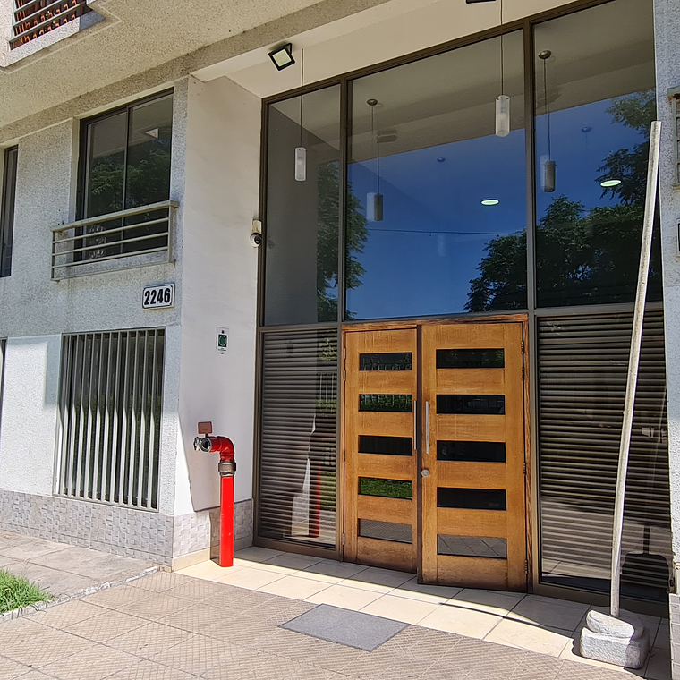 SANTO DOMINGO 2246 C/EST, SANTIAGO 1