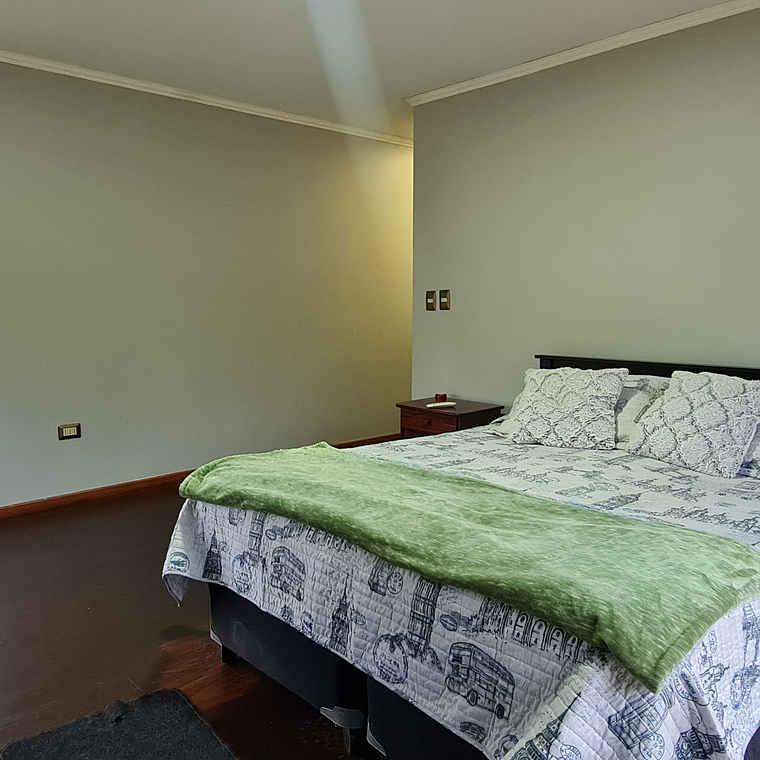 PARCELA CAMINO EL OLIVETO, TALAGANTE 3