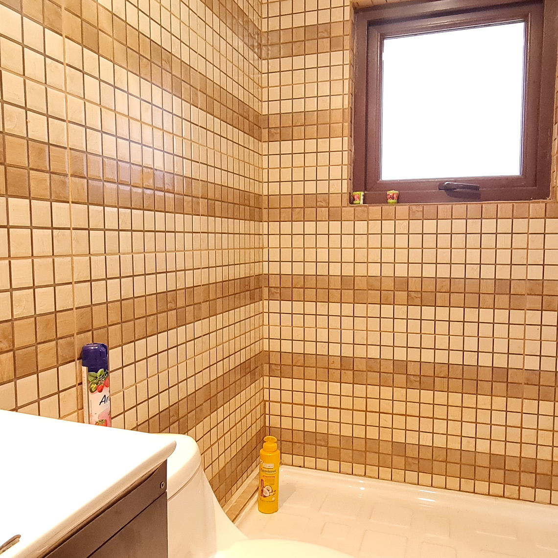 PARCELA CAMINO EL OLIVETO, TALAGANTE 5