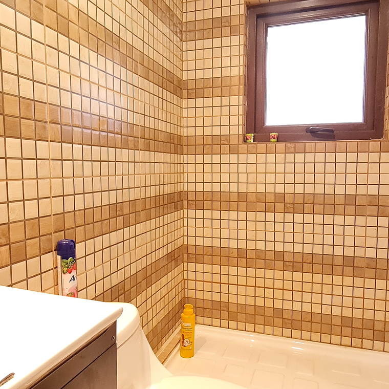 PARCELA CAMINO EL OLIVETO, TALAGANTE 5