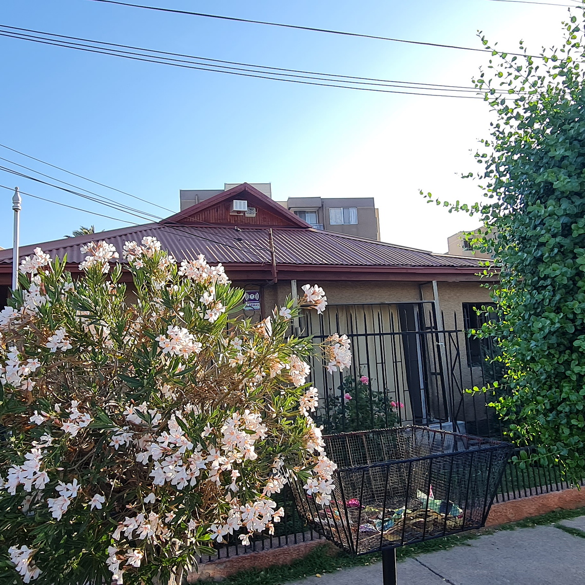 BARTOLOME DE LAS CASAS 338, EL BOSQUE 2