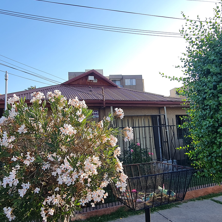 BARTOLOME DE LAS CASAS 338, EL BOSQUE 2