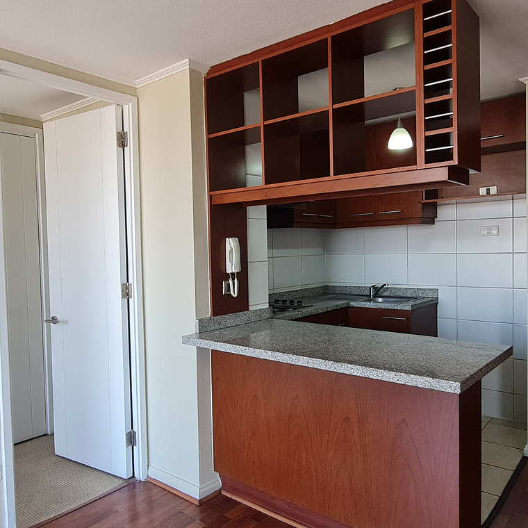 BANDERA 898, 2D, 2B, SANTIAGO 3