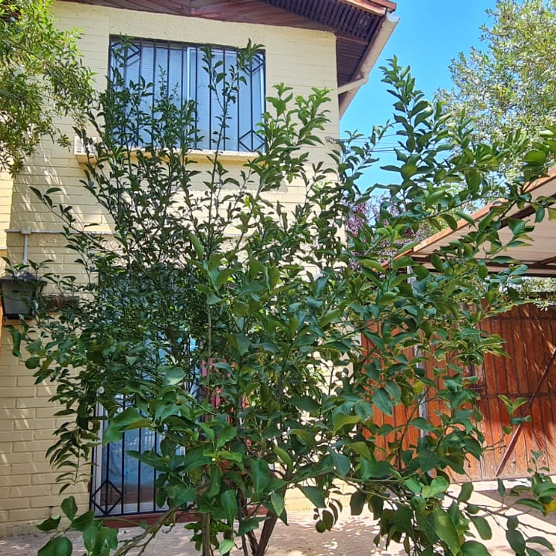 ANTOFAGASTA 3461, LA FLORIDA 2