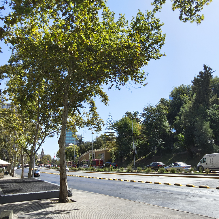 OFICINA, DIAGONAL PARAGUAY 481, SANTIAGO  9