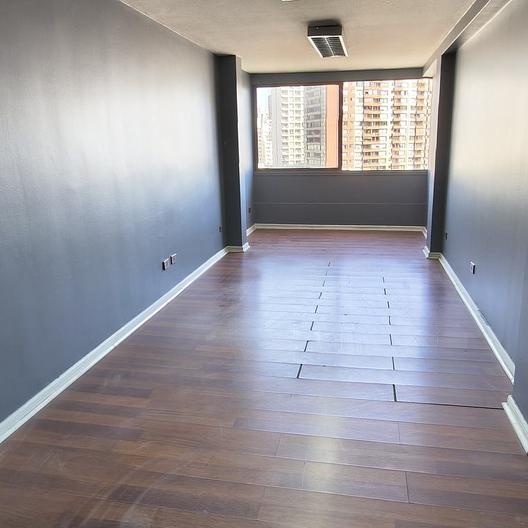 OFICINA, DIAGONAL PARAGUAY 481, SANTIAGO  3