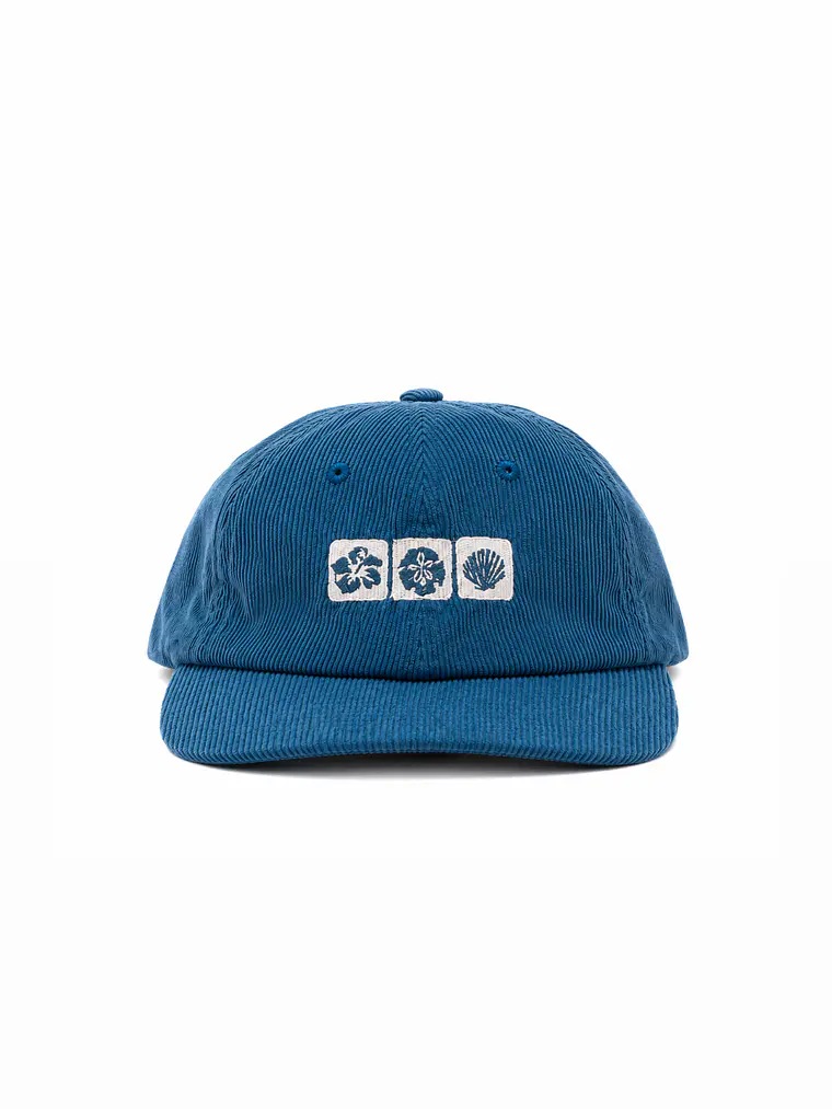 Azul conchas- cotele 1