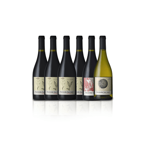 Pack de Vinos Vertical de Pinot Noir