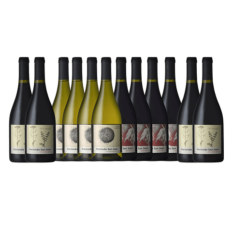 Pack de Vinos 12 botellas Hacienda San Juan