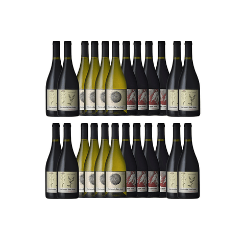 Pack de Vinos 24 botellas Hacienda San Juan