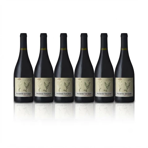 Pack de Vinos Vertical de Pinot Noir